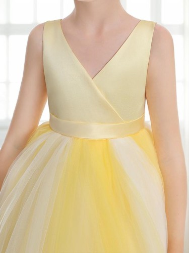 Ball-Gown Princess Precious V-neck Sleeveless Ankle-Length Tulle Flower Girl Dress