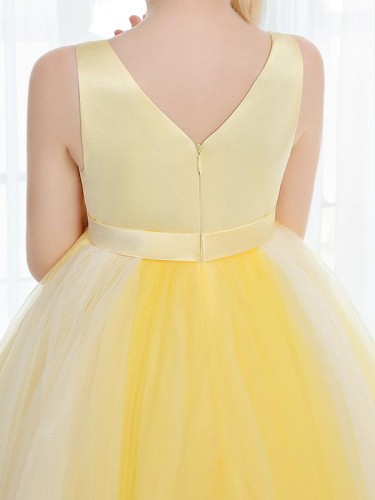 Ball-Gown Princess Precious V-neck Sleeveless Ankle-Length Tulle Flower Girl Dress