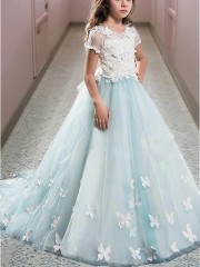 A-line Princess Scoop Short Sleeves Floor-Length Joyful Tulle Flower Girl Dress With Lace